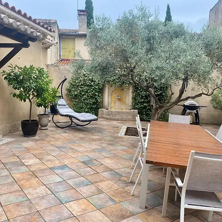 Le Patio Provencal-maison Avec Cour Privee 別荘 ニーム