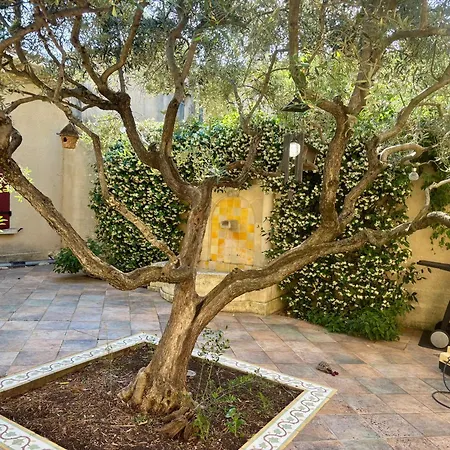 Le Patio Provencal-maison Avec Cour Privee