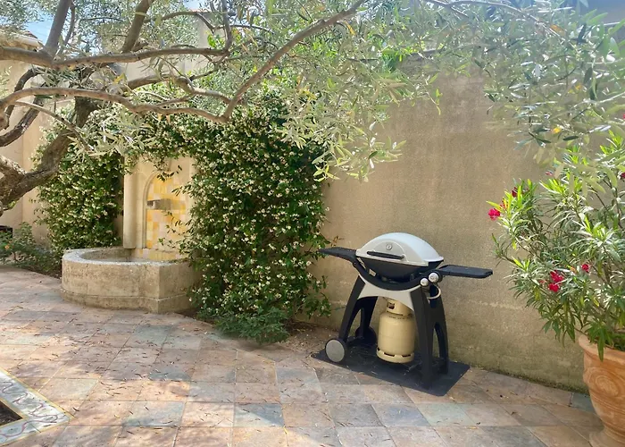 Le Patio Provencal-Maison Avec Cour Privee *